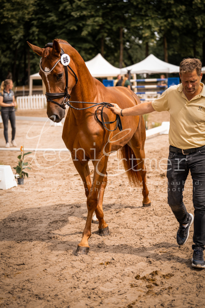 5.Fr00125 | Leoni Ertmer Photography - Realisiert mit Pictrs.com