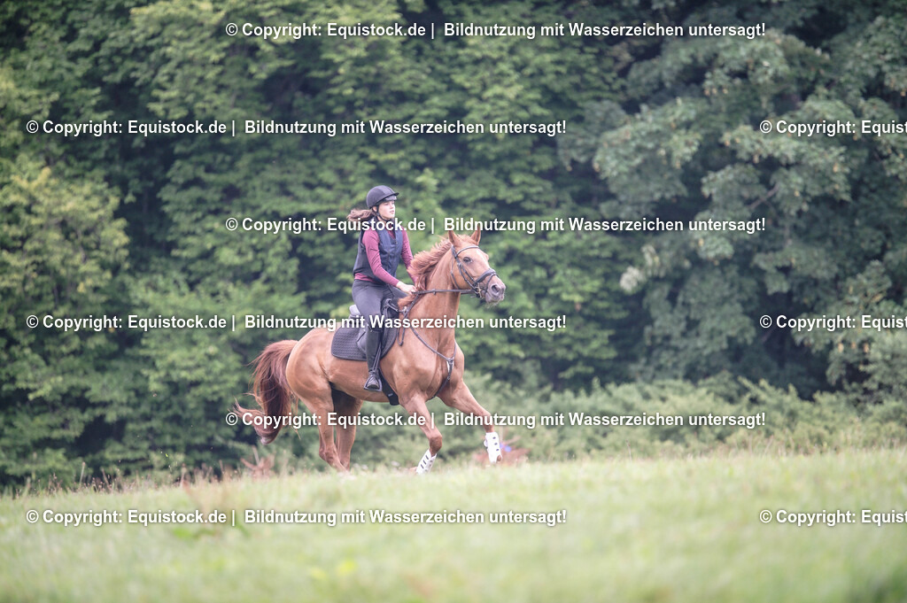 20250726_Vielseitigkeitslehrgang-Marbach_0294 | Foto: Thomas Hartig
