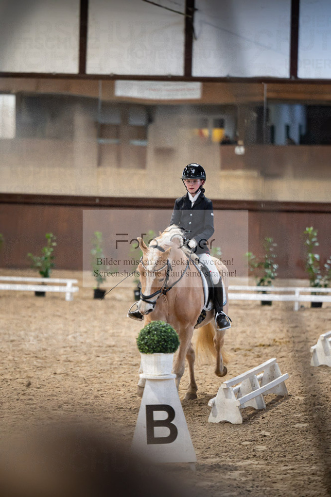 Hallenreittunier Voxtrup 2023 | Entdecke hochwertige Reitturnierfotos von Foto Oger. Professionell, emotional und authentisch – jetzt Lieblingsmomente im Shop bestellen.Deutschlandweite Turnierfotografie. - Realisiert mit Pictrs.com