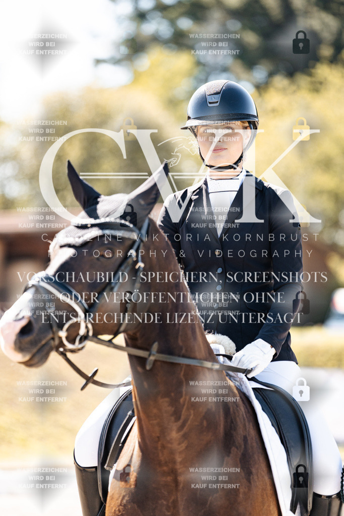 CK909958 | Turnierfotografie Pferdefotografie Trier Rheinland-Pfalz Pferdesport Reitsport Tierfotografie Sportfotografie Pferdevideo Pferdevideografie Equestrianvideography equestrianphotography  - Realisiert mit Pictrs.com