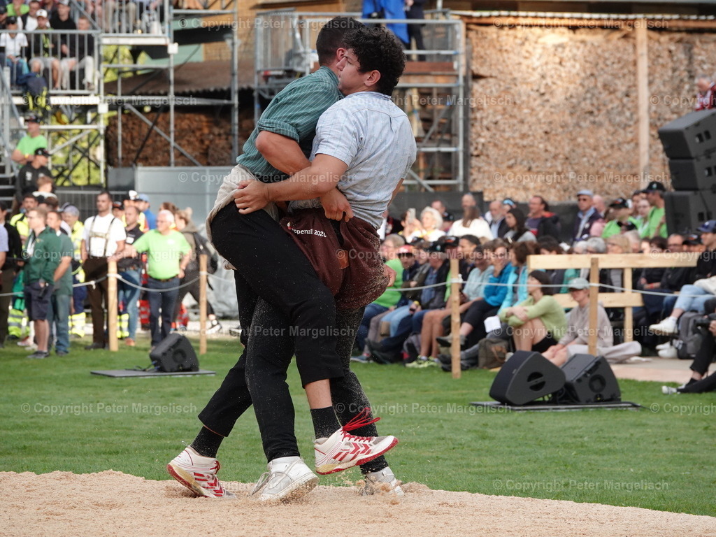 DSC08318 | Schwingen - Realisiert mit Pictrs.com