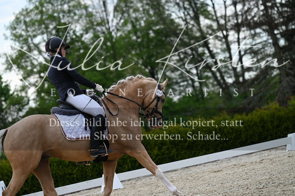 20230512_JK-Röhrsdorf-02-090 | Pferde- und Turnierfotografie in Westsachsen. Pferdeportraits, Auftragszeichnungen und intuitive Kunst.