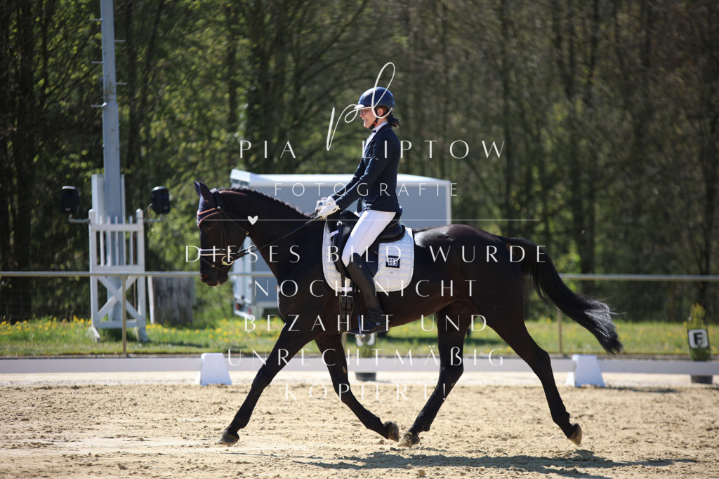 IMGT9889 | pl-fotografie