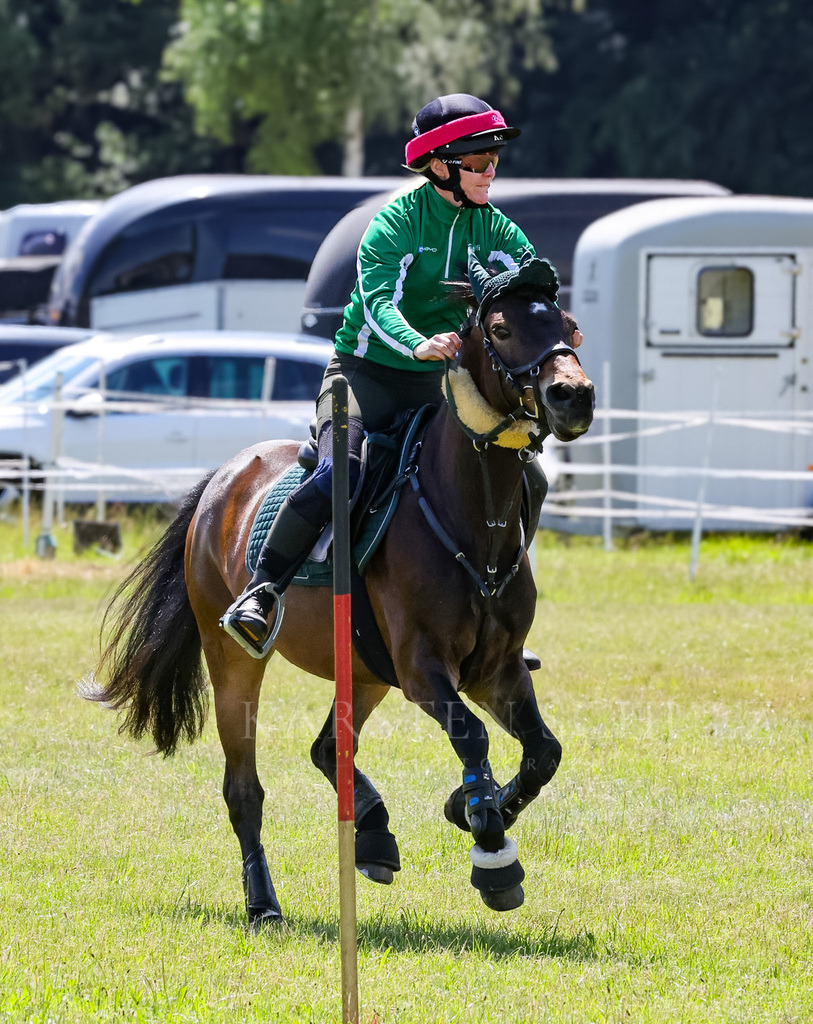 IMG_1626 | Reitsport Reiten