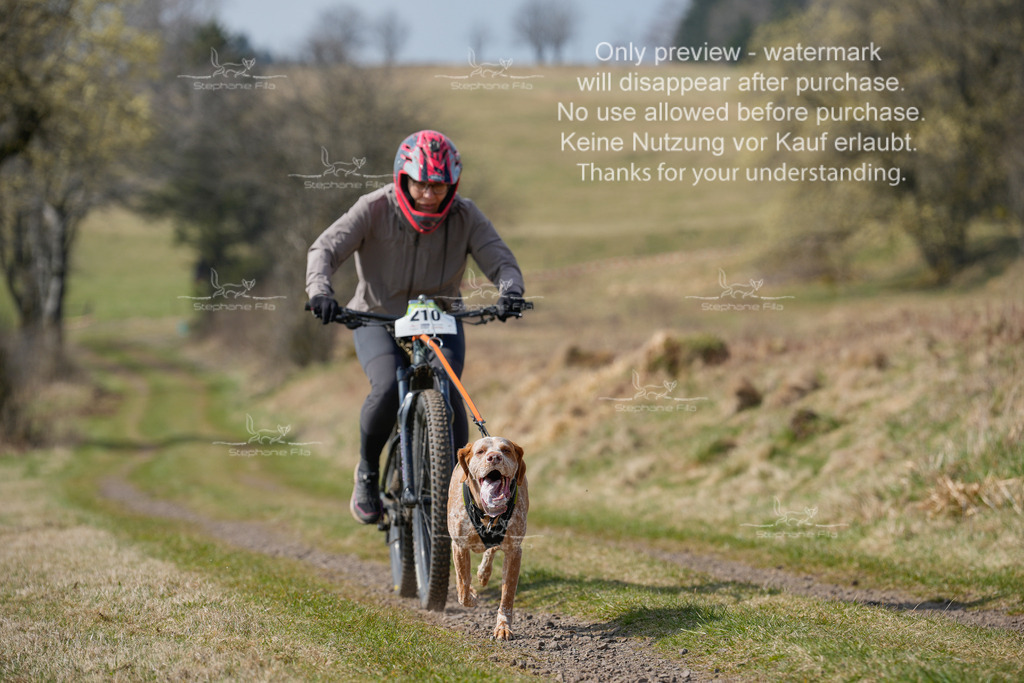 Bike_Lang-237 | stephaniefillaphotographie - Realisiert mit Pictrs.com