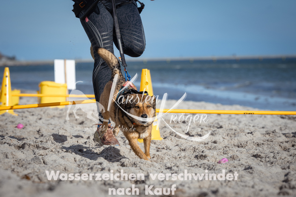 1350_ZZ93926 | kk-dogfotos