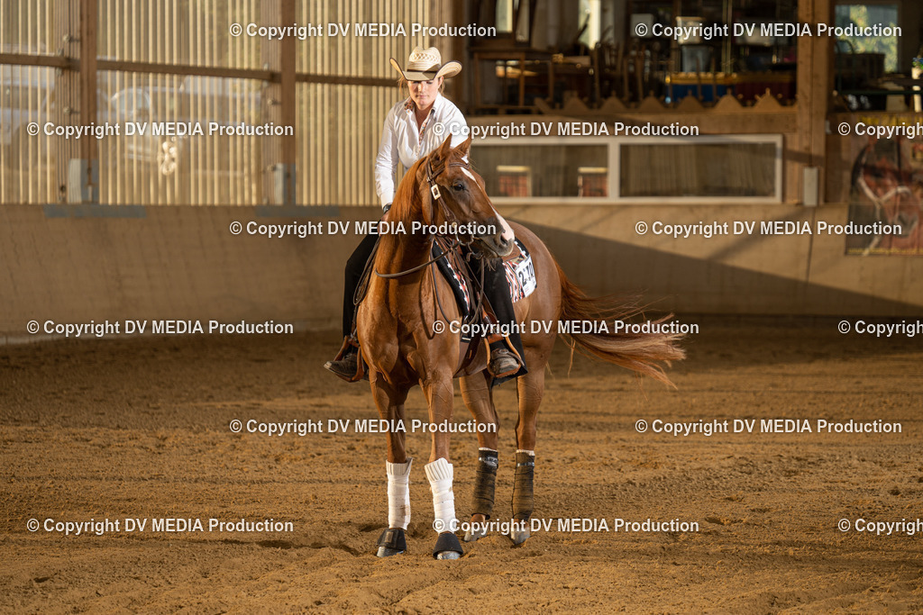 LAU01989 | dv-media-shop - Realisiert mit Pictrs.com