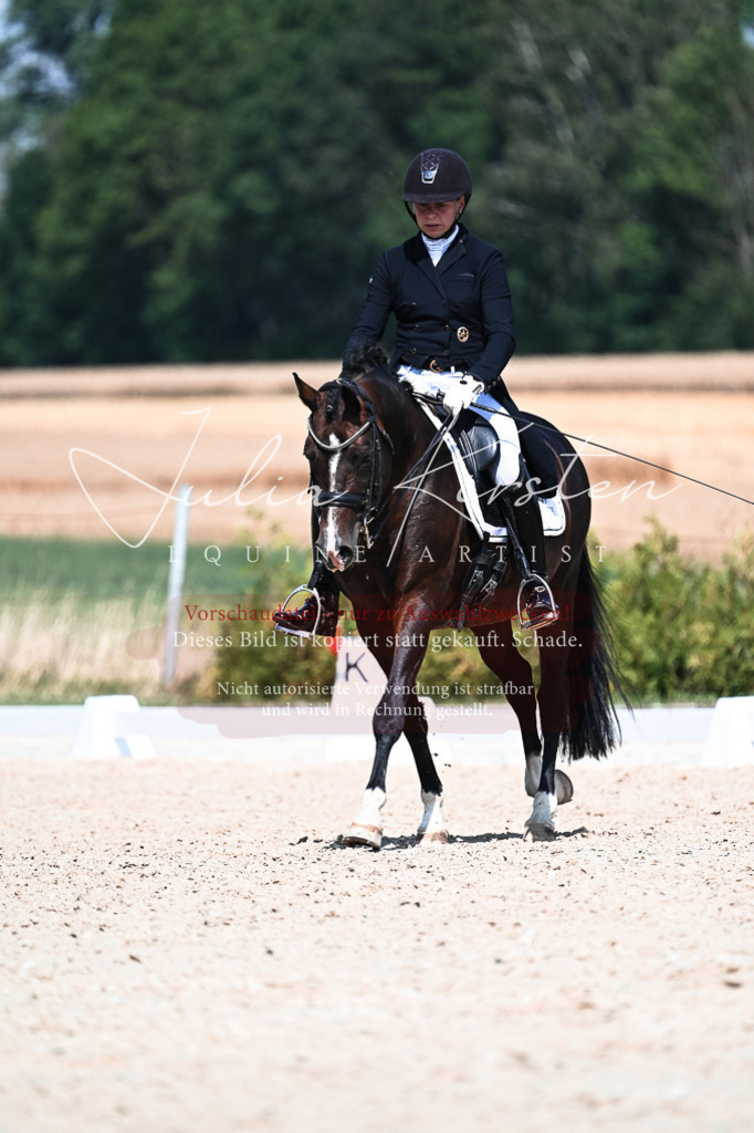 DSC_2939 | Pferde- und Turnierfotografie in Westsachsen. Pferdeportraits, Auftragszeichnungen und intuitive Kunst.