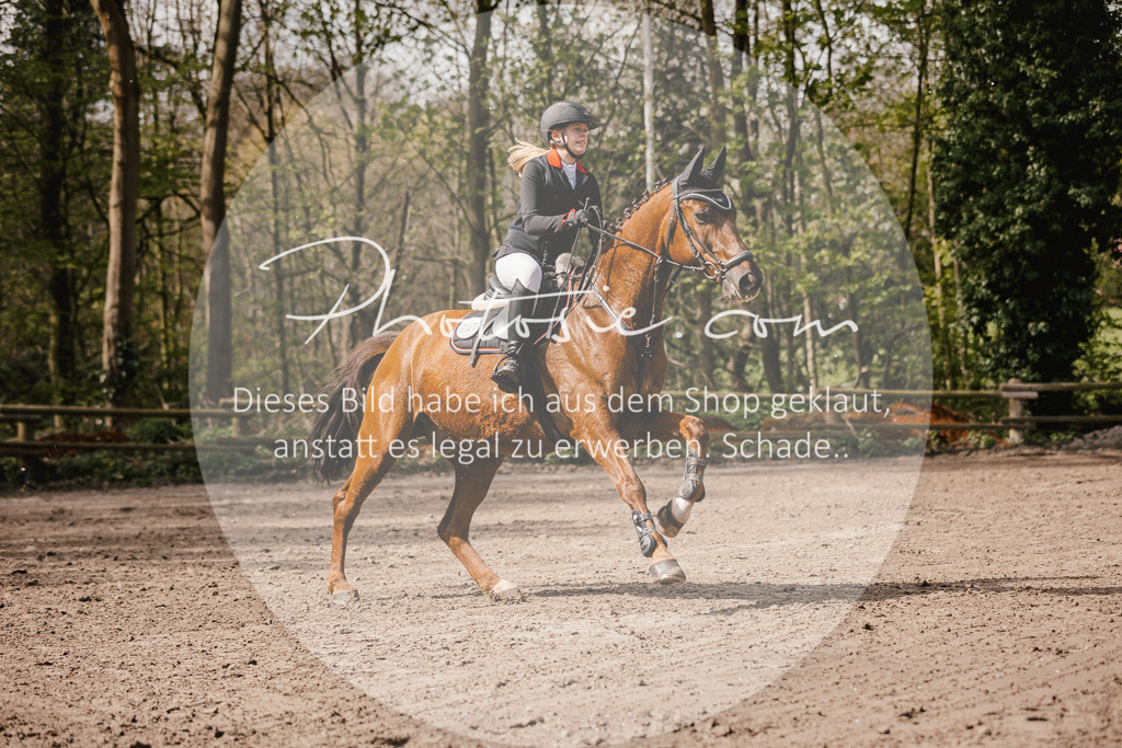 3I6A4194 | Stimmungsvolle Portraits und Reitsportfotografie im Ruhrgebiet und im Münsterland.

Pferdefotografie, Hundefotografie, Tierfotografie, Reportagen, Portraits von Tier und Mensch, Turnierfotografie in Bochum, Recklinghausen, Marl, Haltern am See, Dülmen.. - Realisiert mit Pictrs.com
