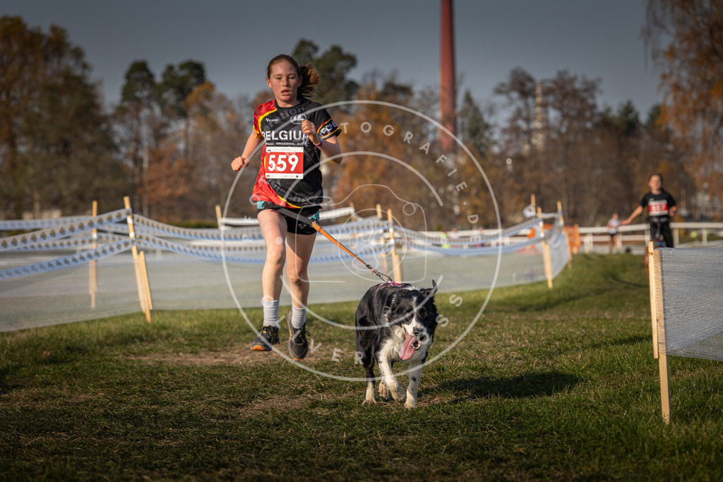 CaniXpix_0L8A9295 | Hundefotografie, Tierfotograf, Pfotenfotografie, Fotoshooting Hund, Hunde Portrait, Hundesport, Hundeportraits, Heideshooting, Hunde, Sportfotograf, Hundefotograf, Turnierhundsport, THS,  - Realisiert mit Pictrs.com