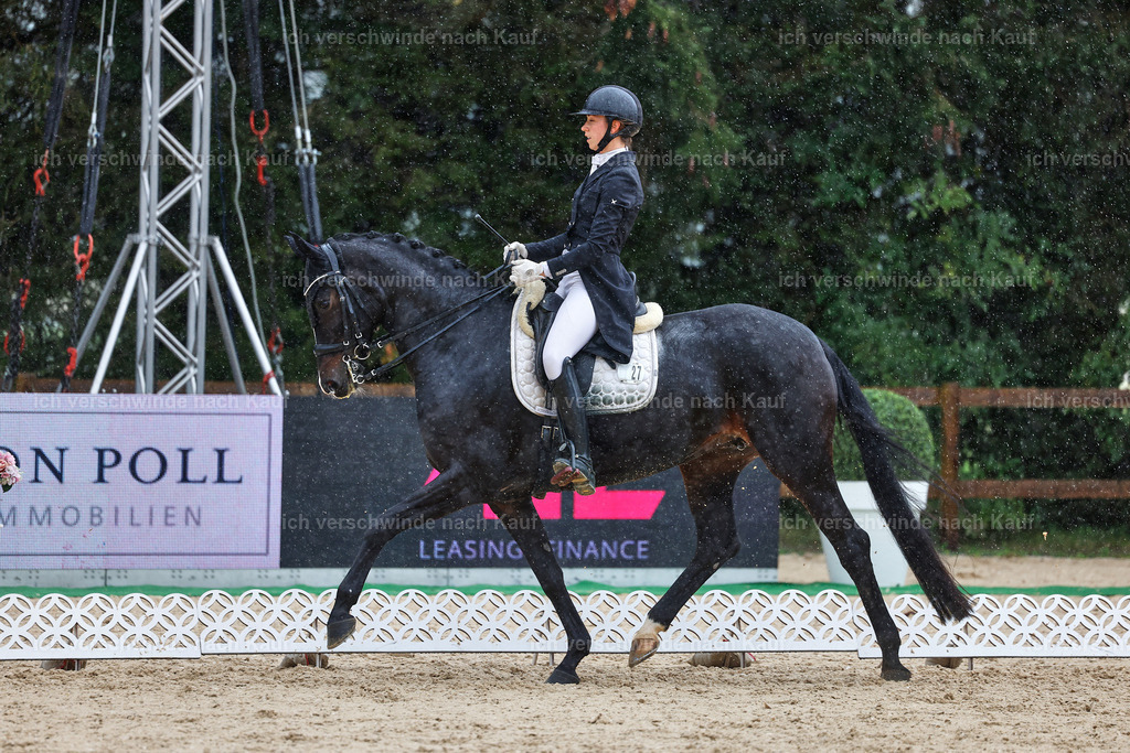 8_1-027-Klasse S_  -StoibPH-4005 | working equitationturnier fotograf videograf stoibphotography marixx film working equitation deutschland reitsport turnierfotografie eventfotografie equestrian events