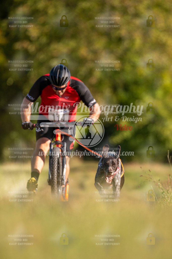 CDLBDB_15_10_2023_Dimanche-294 | PayLife