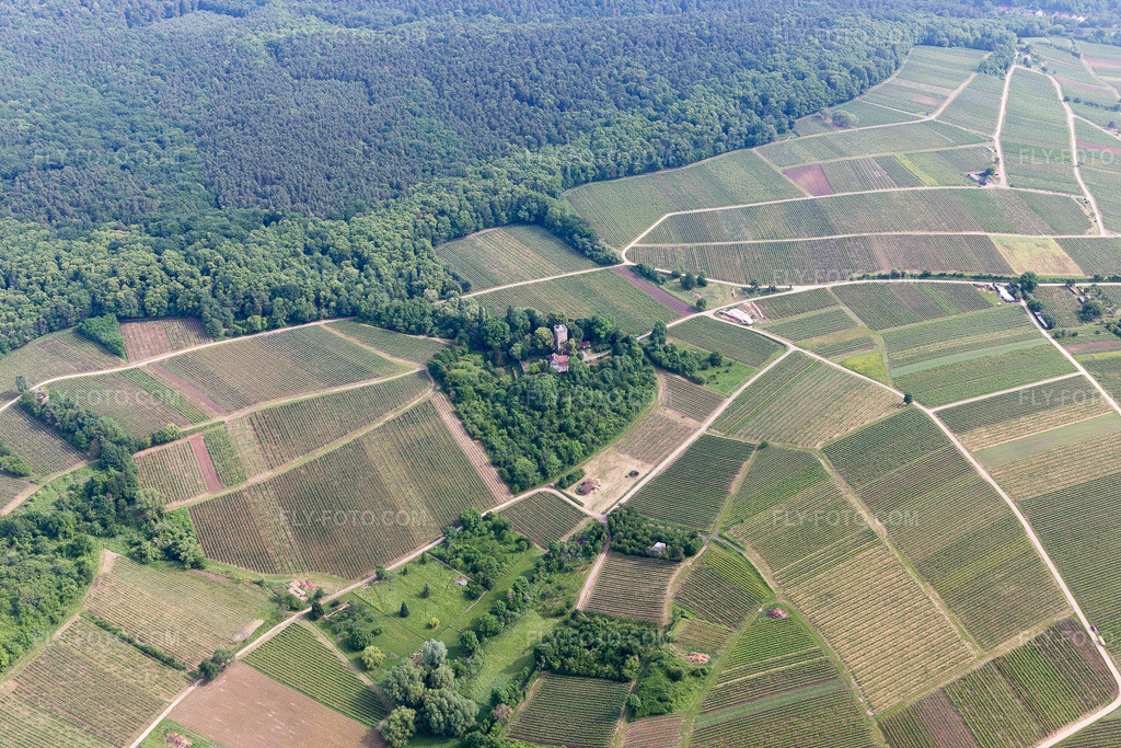 Aerial view: Chateau Saint Paul on the Sonnenberg in Wissembourg in the state Bas-Rhin, France. – Photo: IMG_100691.jpg taken on 06/05/2017 by Werner Riehm/FLY-FOTO.com – Resolution of the original: 5472 x 3648 px