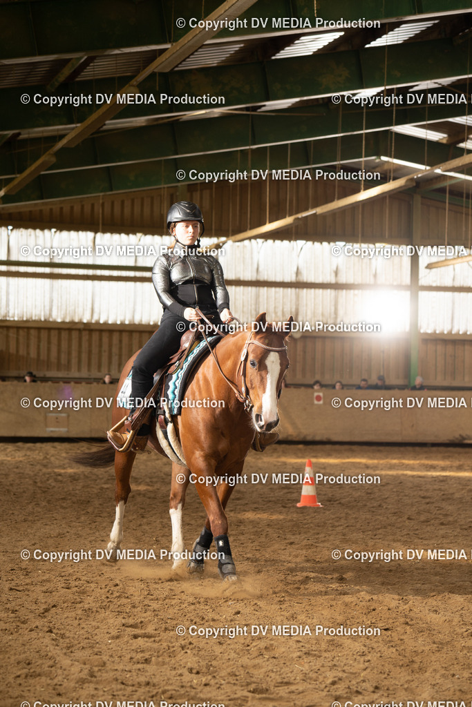 BAL02052 | dv-media-shop - Realisiert mit Pictrs.com