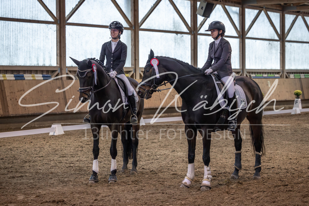 20251011-_3LI2230 | Tierfotografie Pferde, Hunde, Katzen, Haustiere.
Turnierfotografie Reitturniere, Reiten, Springreiten, Dressur in Hanau, dem Main-Kinzig-Kreis und dem Rhein-Main- Gebiet um Frankfurt