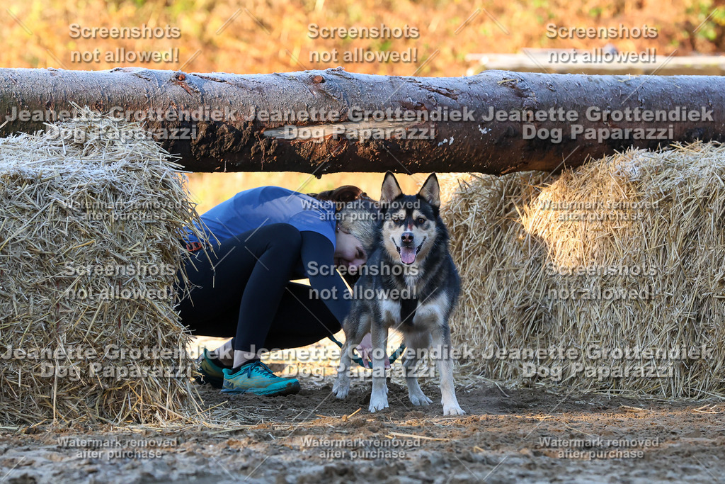 Dog Paparazzi - Strongdog 10-25-635 | Dog Paparazzi Jeanette Grottendiek Fotografie & Videografie - Realisiert mit Pictrs.com