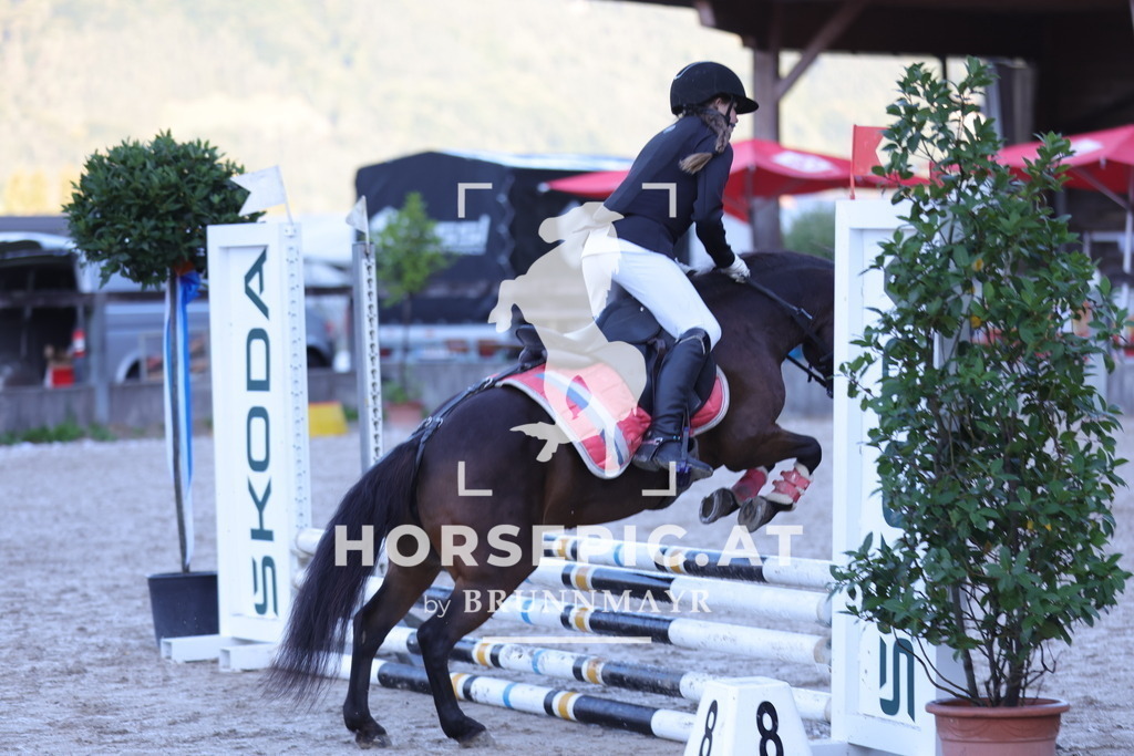 0P6A3940 | Willkommen bei Brunnmayr - Design & Fotografie – Ihrem Spezialisten für Reitturniere und Pferdeveranstaltungen in Oberösterreich, Salzburg und Bayern! Seit über 17 Jahren sind wir leidenschaftlich dabei.