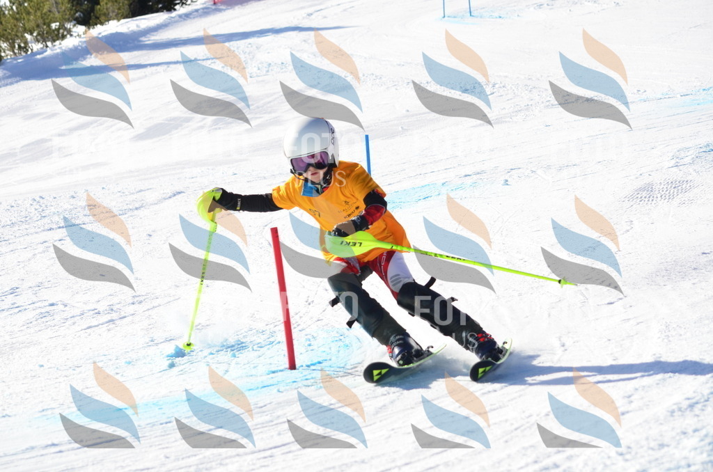 C6150 | holidayphoto