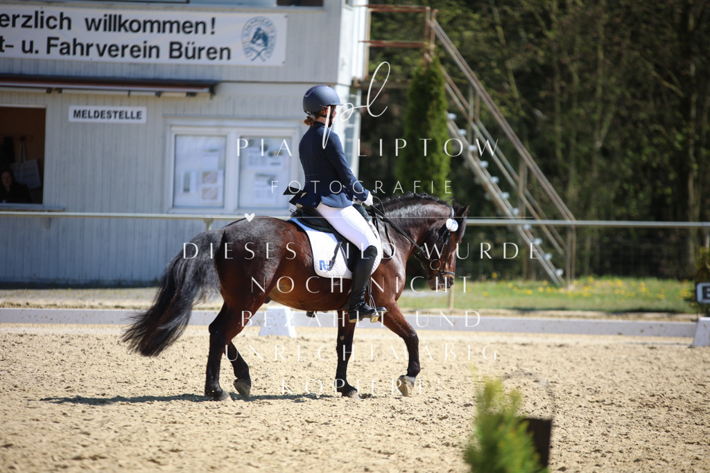 IMGT7660 | pl-fotografie