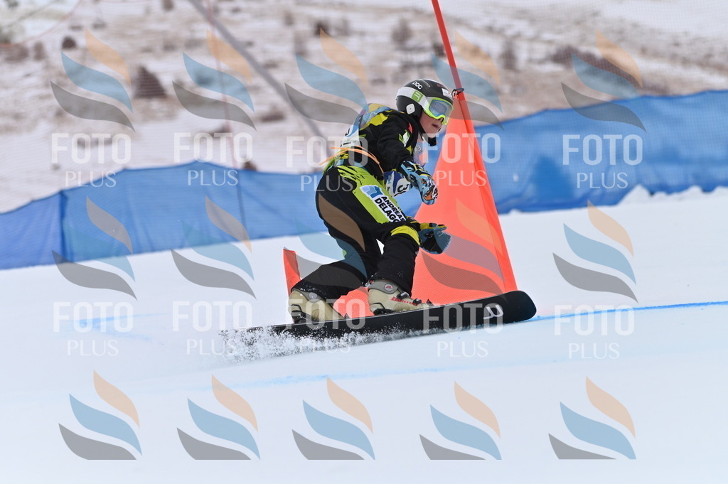 BGV_5596 | holidayphoto