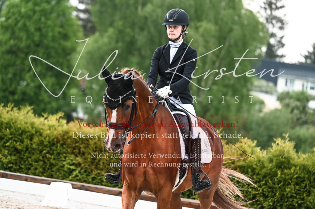 DSC_4293 | Pferde- und Turnierfotografie in Westsachsen. Pferdeportraits, Auftragszeichnungen und intuitive Kunst.