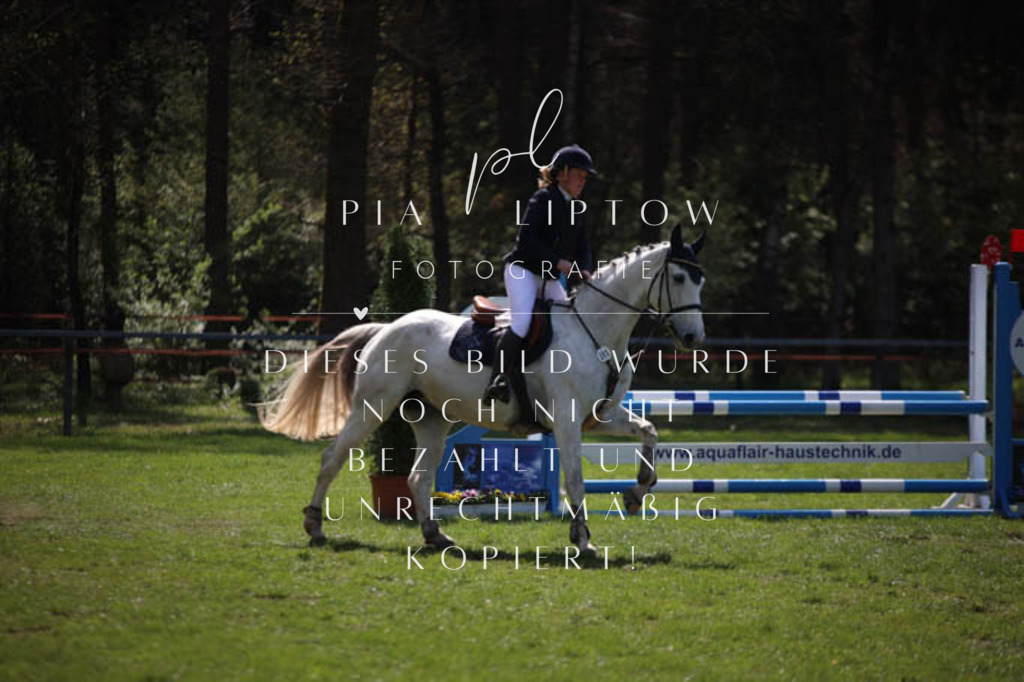 IMGT5482 | pl-fotografie