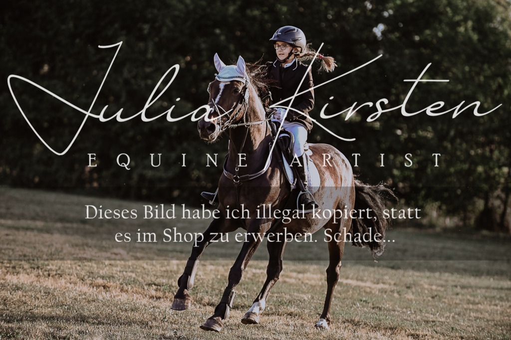 DSC_0288 | Pferde- und Turnierfotografie in Westsachsen. Pferdeportraits, Auftragszeichnungen und intuitive Kunst.