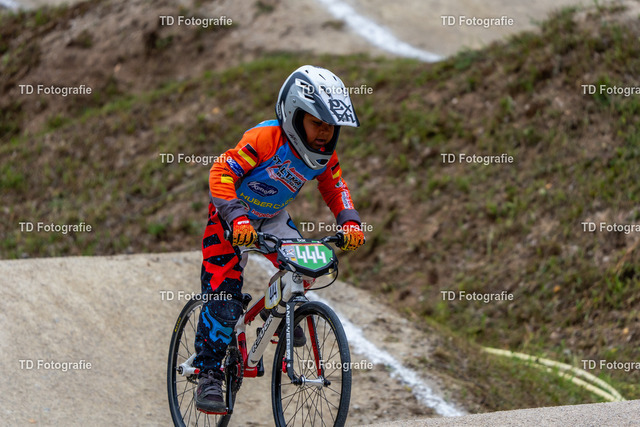 BayBMX2026-05318 | Fotogalerie von Thomas Dettweiler mit Eventbildern und lizenzfreien Fotos. Perfekt als Wandbild, für Büro, Website oder private Nutzung. - Realisiert mit Pictrs.com