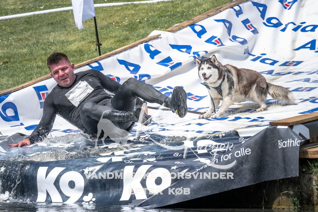 1200_ZZ94676 | kk-dogfotos