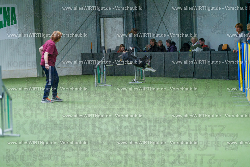 @allesWIRTHgut_Tierfotografie - www.allesWIRTHgut.de - 2604251102-7R500985 | Professionelle Tierfotografie in Mönchengladbach von Daniel Wirth (allesWIRTHgut). Liebevolle & natürliche Bilder von Hunden & Katzen für unvergessliche Erinnerungen.