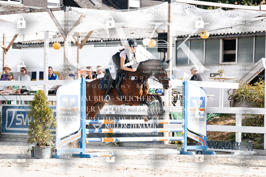 CK909152 | Turnierfotografie Pferdefotografie Trier Rheinland-Pfalz Pferdesport Reitsport Tierfotografie Sportfotografie Pferdevideo Pferdevideografie Equestrianvideography equestrianphotography  - Realisiert mit Pictrs.com