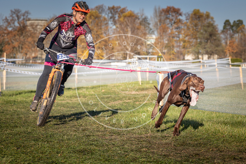 CaniXpix_0L8A4813 | Hundefotografie, Tierfotograf, Pfotenfotografie, Fotoshooting Hund, Hunde Portrait, Hundesport, Hundeportraits, Heideshooting, Hunde, Sportfotograf, Hundefotograf, Turnierhundsport, THS,  - Realisiert mit Pictrs.com