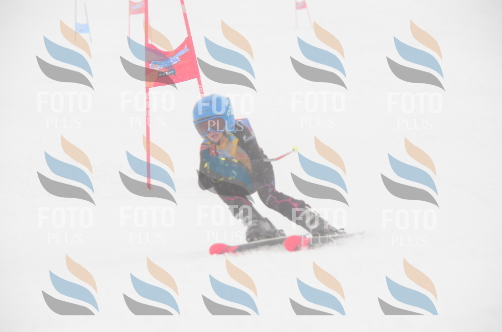 C0813 | holidayphoto