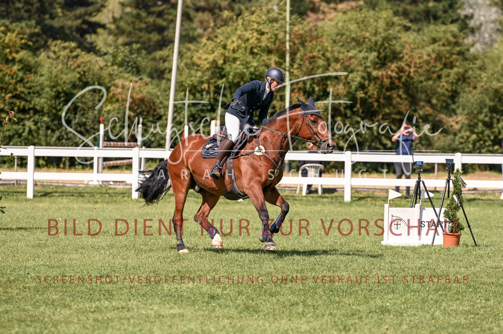 Schugtsche-Düren.2024-09.Springprf.L-143 | Schugtsche Fotografie - Realisiert mit Pictrs.com