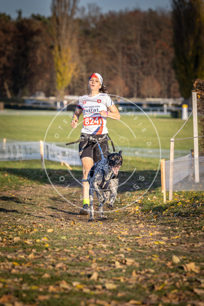 CaniXpix_DV3A3313 | Hundefotografie, Tierfotograf, Pfotenfotografie, Fotoshooting Hund, Hunde Portrait, Hundesport, Hundeportraits, Heideshooting, Hunde, Sportfotograf, Hundefotograf, Turnierhundsport, THS,  - Realisiert mit Pictrs.com