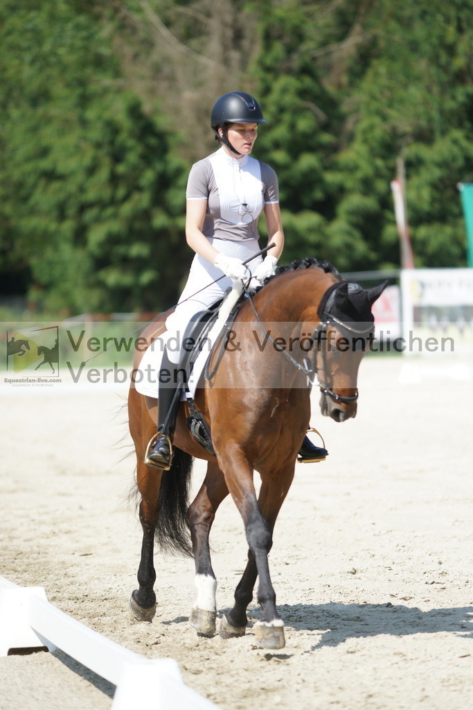 DSC01533 | equestrian-live-com