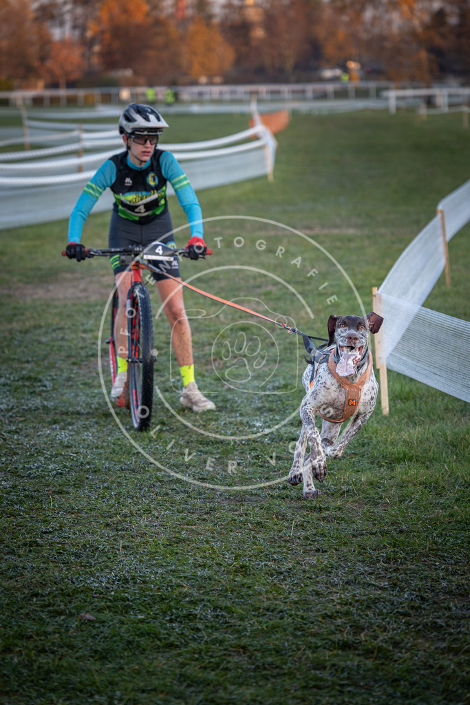 CaniXpix_0L8A1026 | Hundefotografie, Tierfotograf, Pfotenfotografie, Fotoshooting Hund, Hunde Portrait, Hundesport, Hundeportraits, Heideshooting, Hunde, Sportfotograf, Hundefotograf, Turnierhundsport, THS,  - Realisiert mit Pictrs.com