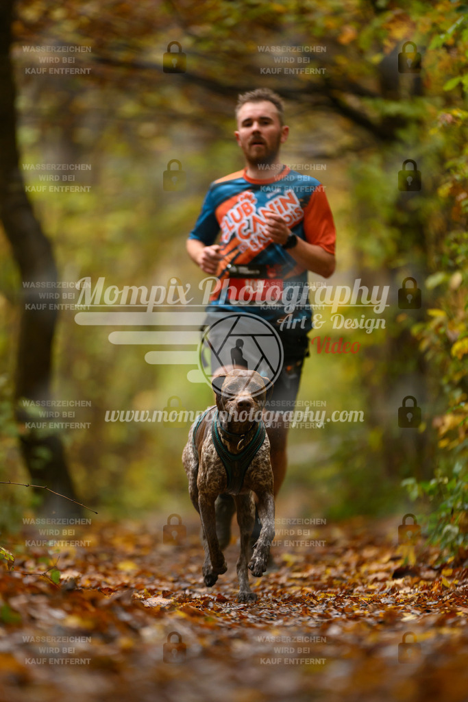 MompixPhotography_CD7S_DI_CCL-1 | mompixphotography