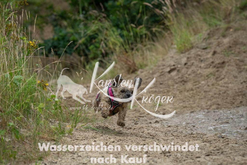 1619_ZZ90882-Bearbeitet | kk-dogfotos