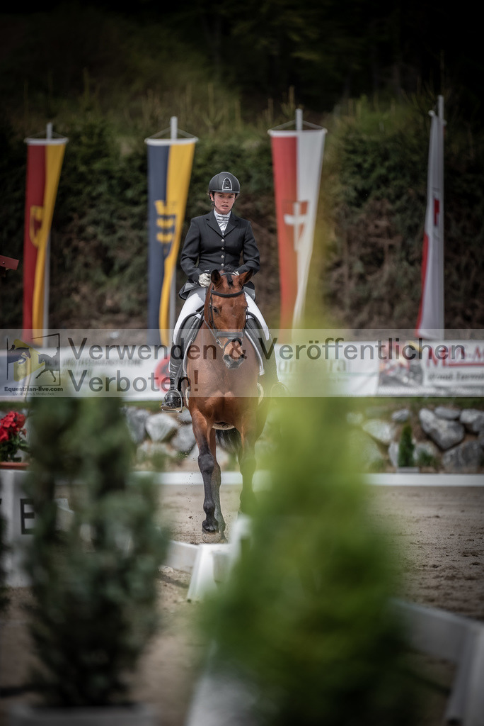 DSC_2375 | equestrian-live-com