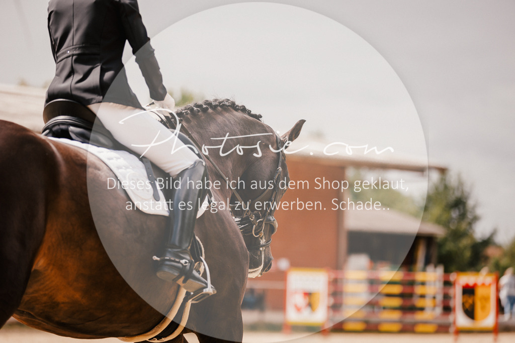3I6A6130 | Stimmungsvolle Portraits und Reitsportfotografie im Ruhrgebiet und im Münsterland.

Pferdefotografie, Hundefotografie, Tierfotografie, Reportagen, Portraits von Tier und Mensch, Turnierfotografie in Bochum, Recklinghausen, Marl, Haltern am See, Dülmen.. - Realisiert mit Pictrs.com