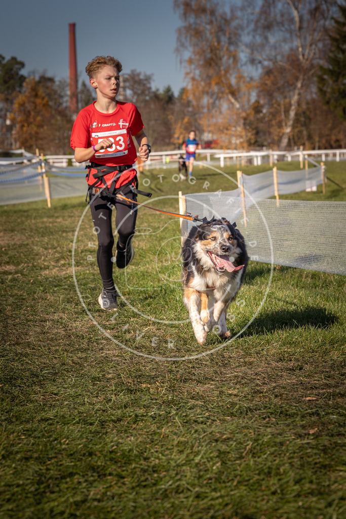 CaniXpix_0L8A7412 | Hundefotografie, Tierfotograf, Pfotenfotografie, Fotoshooting Hund, Hunde Portrait, Hundesport, Hundeportraits, Heideshooting, Hunde, Sportfotograf, Hundefotograf, Turnierhundsport, THS,  - Realisiert mit Pictrs.com