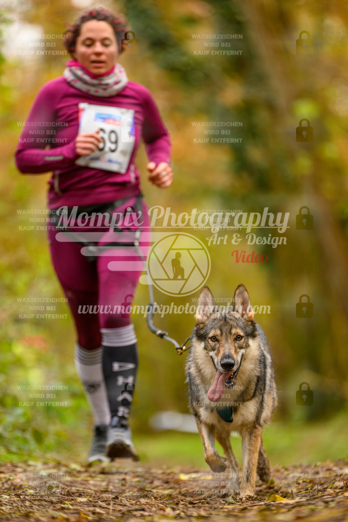 MompixPhotography_Bischwiller24_SA_Canicross-189 | PayLife
