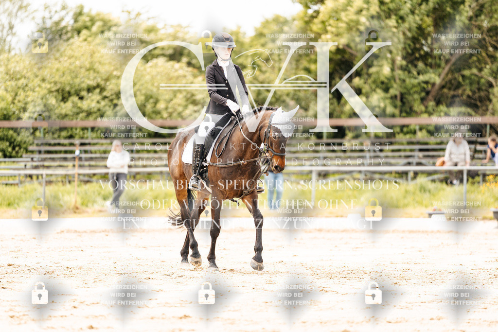 CK902760 | Turnierfotografie Pferdefotografie Trier Rheinland-Pfalz Pferdesport Reitsport Tierfotografie Sportfotografie Pferdevideo Pferdevideografie Equestrianvideography equestrianphotography  - Realisiert mit Pictrs.com