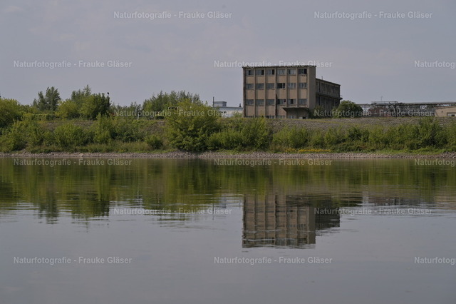 F.Gläser_1063 | Naturfotografie Frauke Gläser - Realisiert mit Pictrs.com