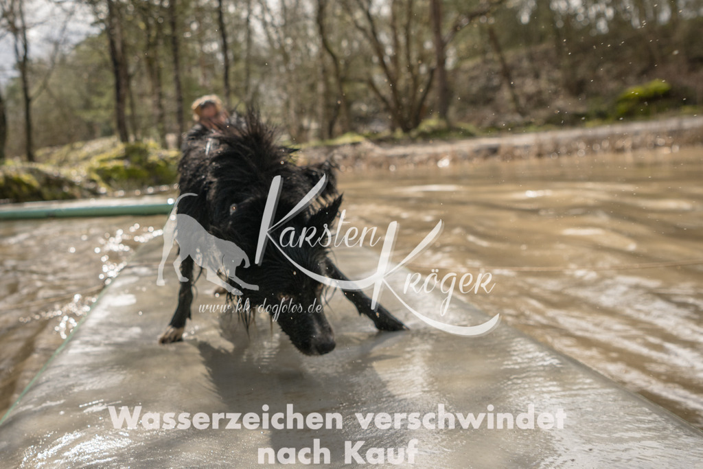 1354_ZZ90959 | kk-dogfotos