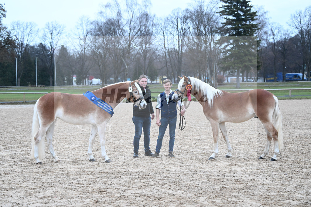 Kat-Nr. 5 Lady Cool v. Wetterstein_Gossner_Kat-Nr. 13 Wolverine v. Westwind_Lechner_48252006 | hf-fotografie - Realisiert mit Pictrs.com