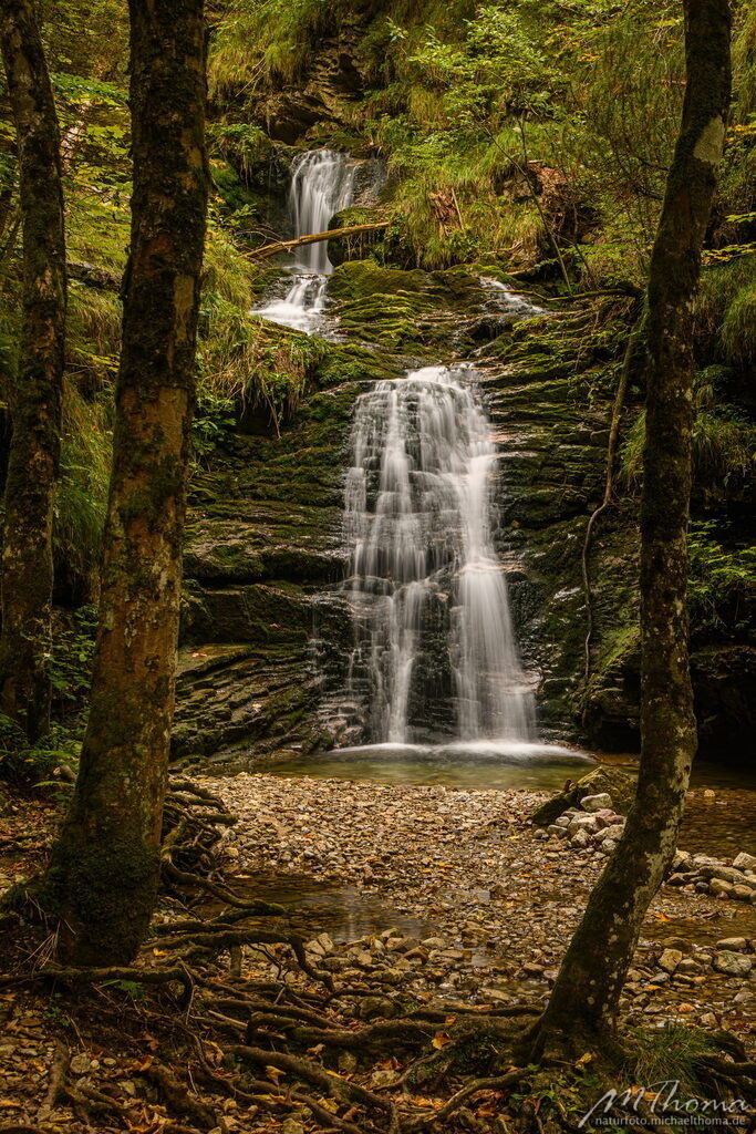 Wildbachtobel Bad Hindelang | Dies ist der Online-Shop von naturfoto.michaelthoma.de. Ich bin leidenschaftlicher Naturfotograf und fotografiere von der Andromedagalaxie bis zum Zwergtaucher, von der Ameise bis zum Orionnebel alles was mit Natur zu tun hat. Hier kann eine Auswahl meine - Realisiert mit Pictrs.com