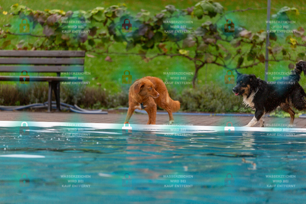 _HP_7103_1000o | HetPix, HetPix Fotodesign, Fotografie, Fotodesign, Webshop, Sportfotografie, Portraitfotografie, Onlineshop, Sportfotografie, Polch, Motorsportfotografie, Eventfotografie