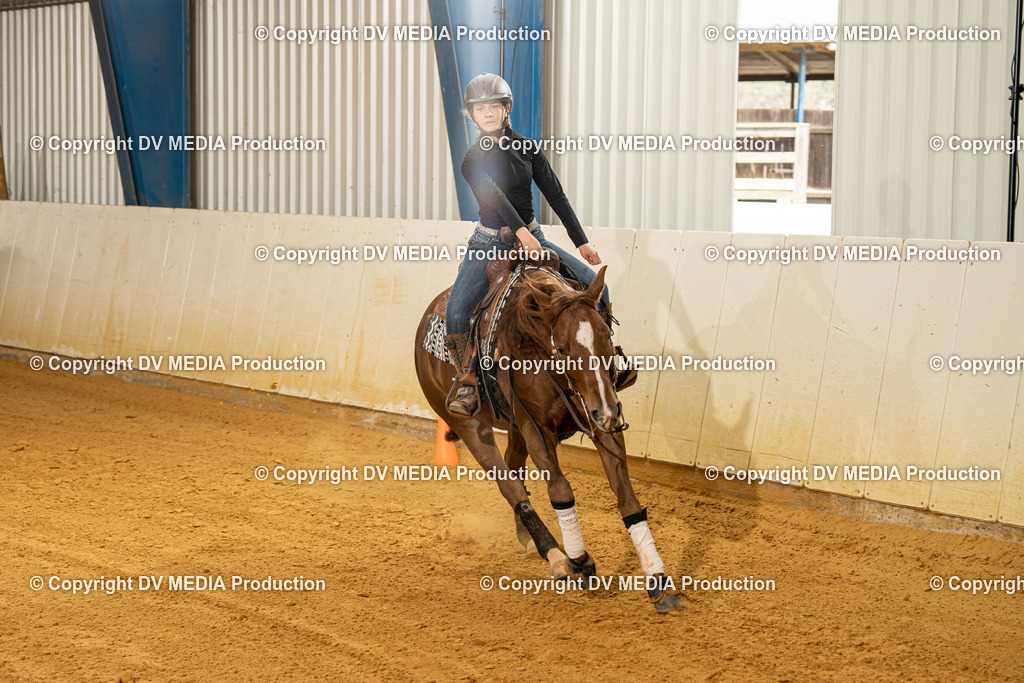 MIT00242 | dv-media-shop - Realisiert mit Pictrs.com